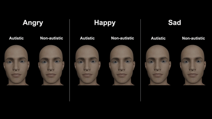 En este vídeo, se aprecian las diferencias en las expresiones faciales entre personas autistas y no autistas.