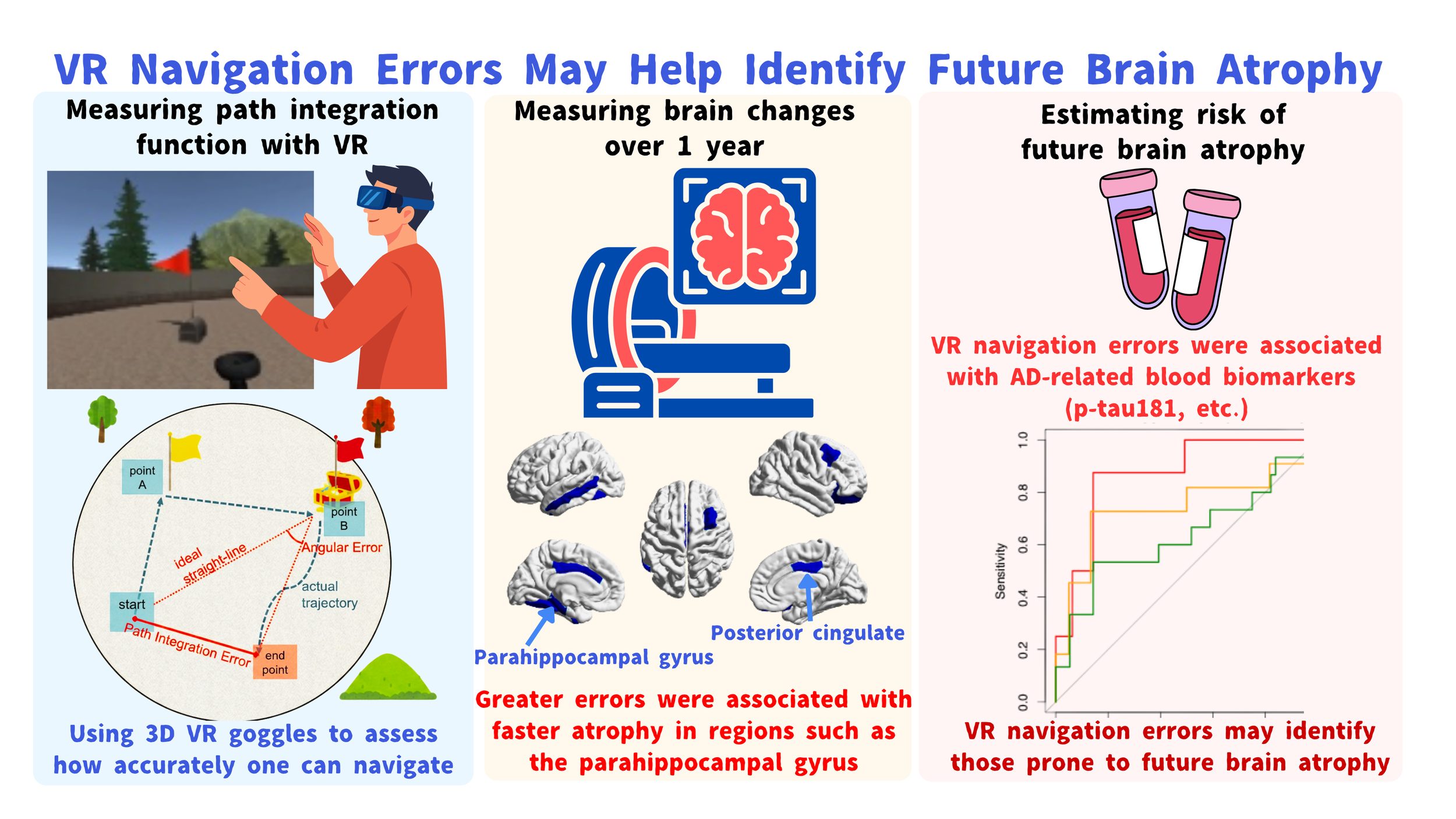 Infografía del estudio japonés que relaciona los errores de navegación en realidad virtual con una mayor pérdida de tejido cerebral y con biomarcadores sanguíneos asociados al alzhéimer.