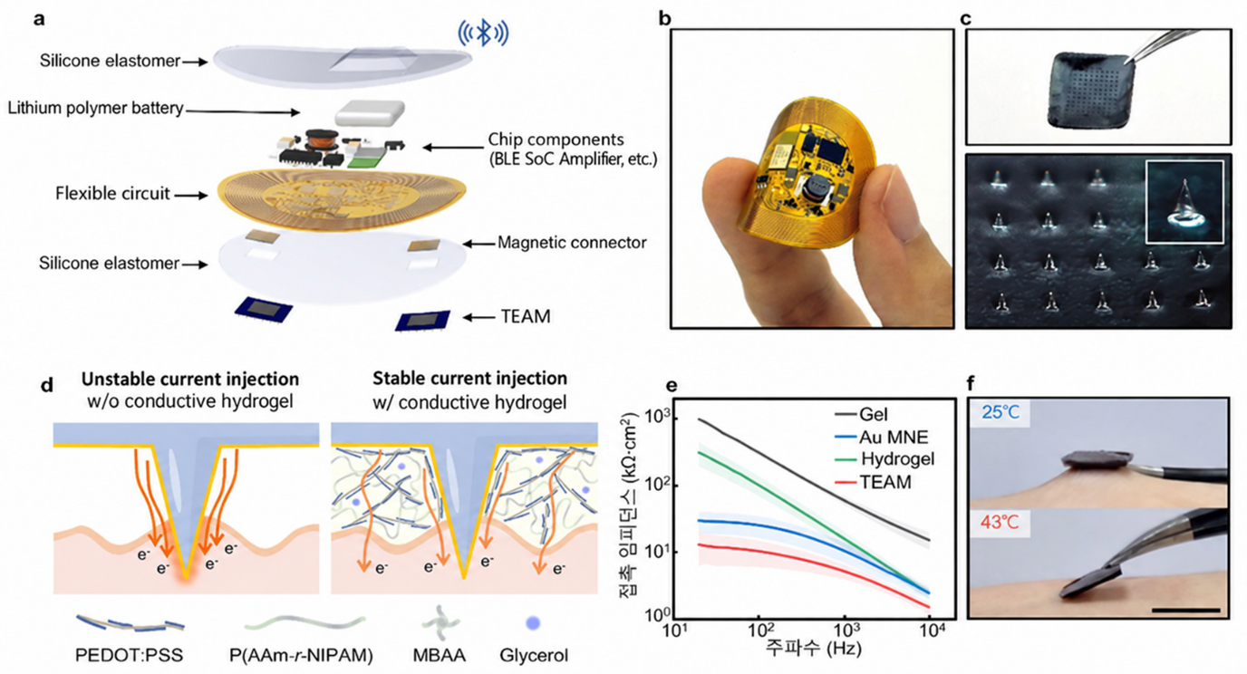 Estructura y funcionamiento del parche: sus microagujas recubiertas de hidrogel distribuyen la corriente de forma estable y pierden adherencia cuando la piel alcanza los 43 °C.