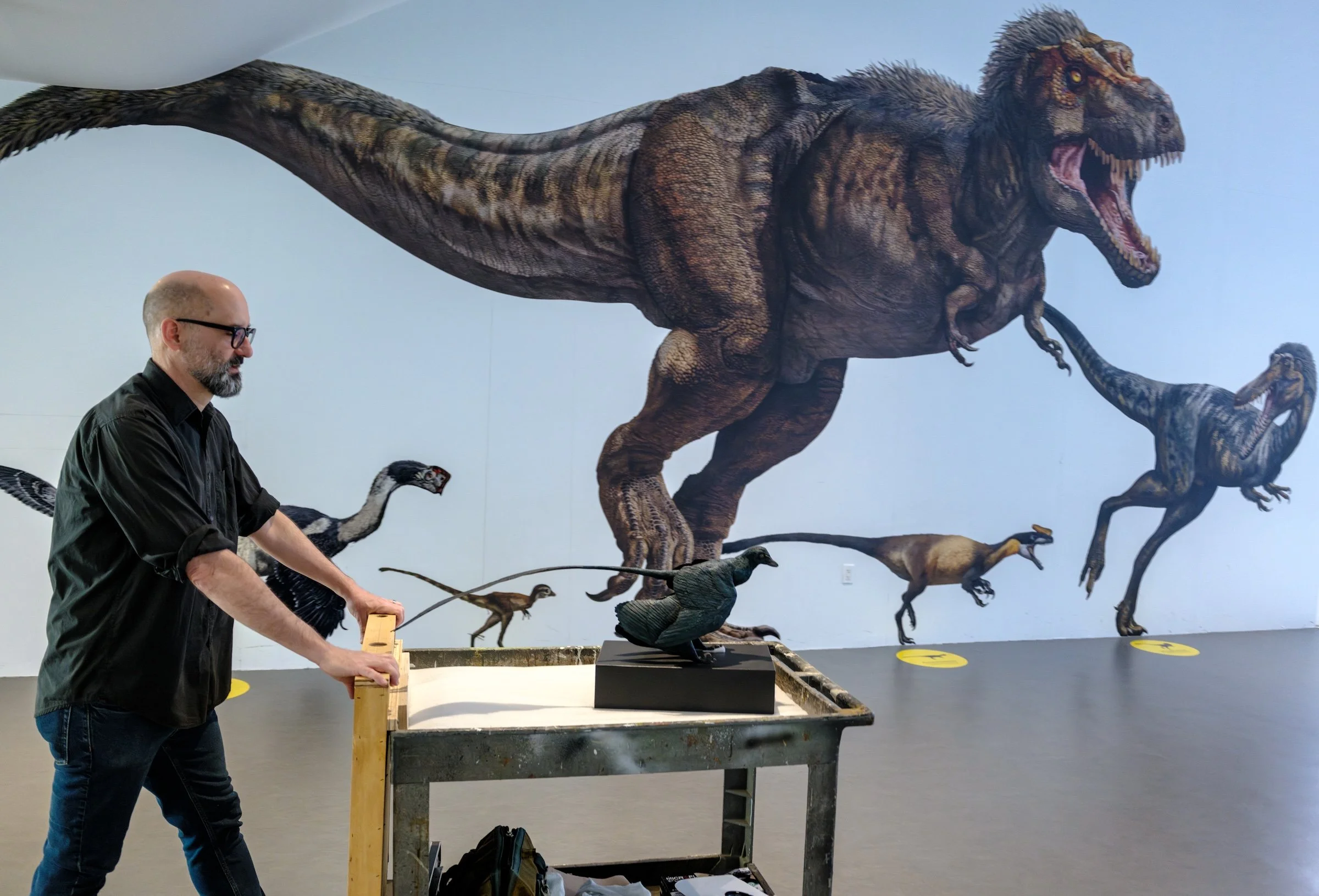 Un modelo de Microraptor es transportado en un carro para ser instalado en una exposición del Museo Americano de Historia Natural.