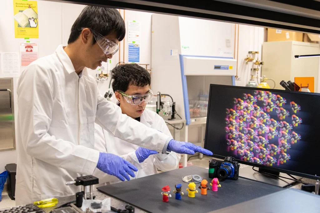 DeepInMiniscope se basa en los trabajos previos de Weijian Yang para crear una cámara sin lentes capaz de generar imágenes tridimensionales a partir de una sola exposición.