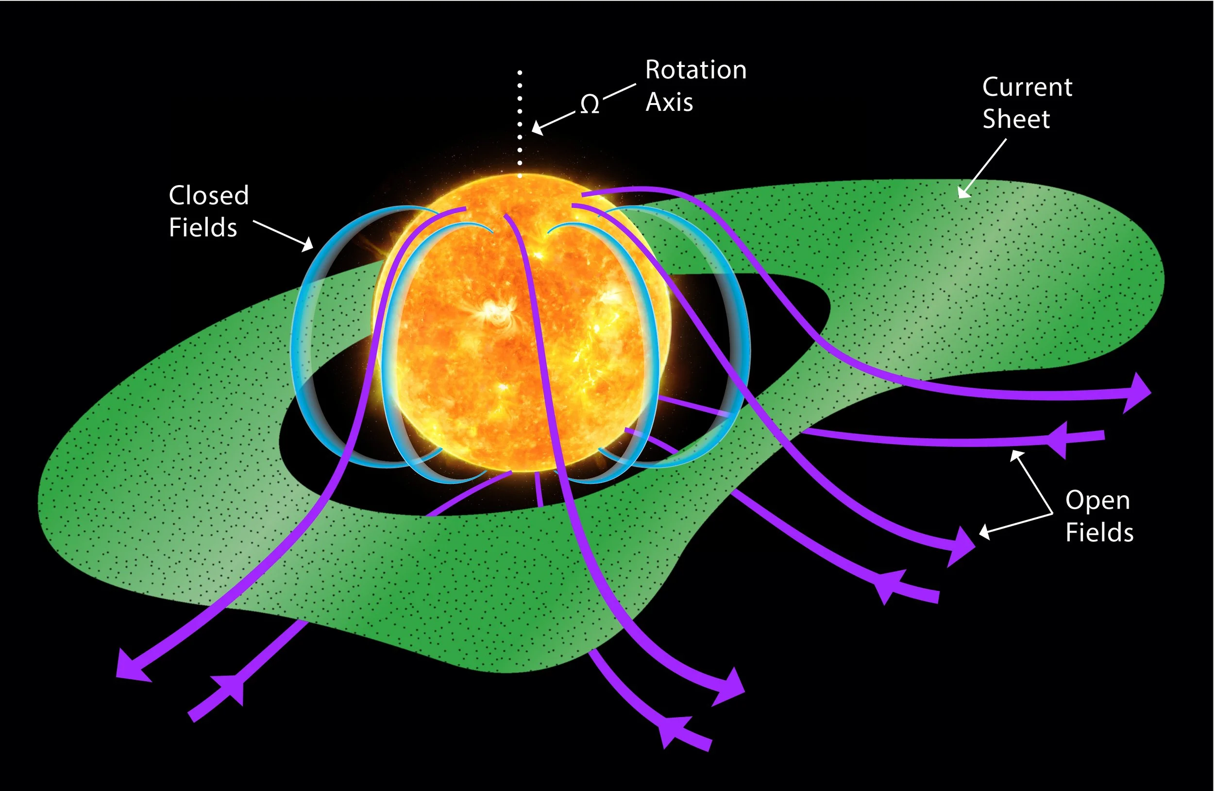 El campo magnético del Sol da forma y orienta la lámina de corriente heliosférica, la frontera ondulada que separa regiones de polaridad opuesta y canaliza las partículas del viento solar hacia el espacio.