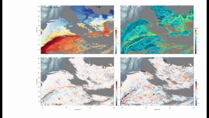 Evolución temporal de las corrientes en la región de la corriente del Golgo, donde GOFLOW revela con alta resolución la variabilidad espacio-temporal de estructuras submesoescalares.