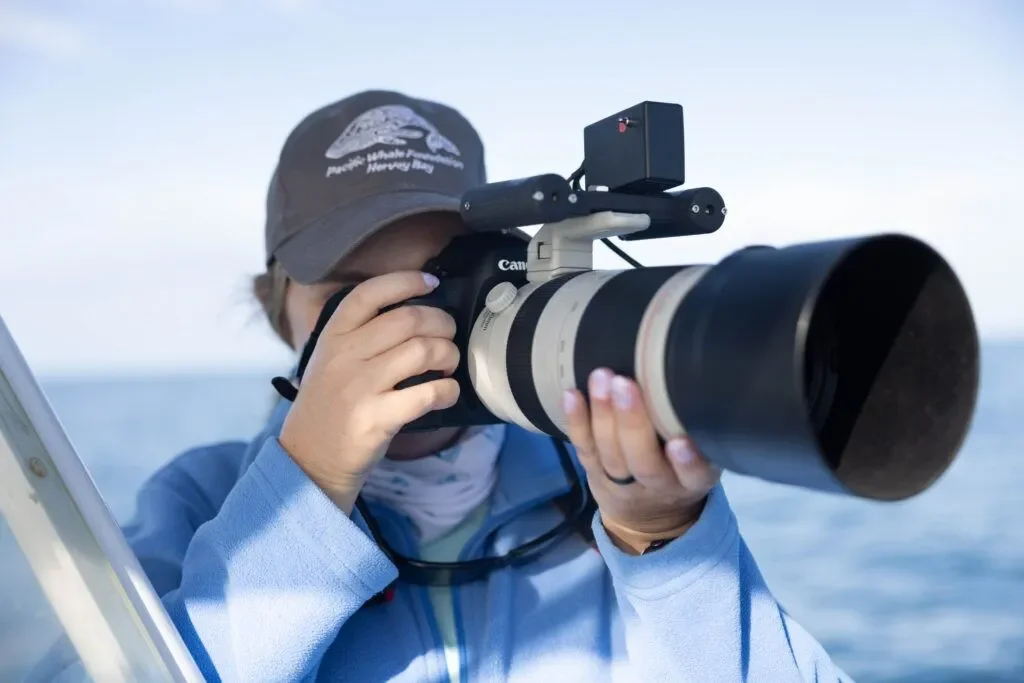 La investigadora Stephanie Stack fotografía ballenas jorobadas en Australia para el proyecto internacional de identificación mediante imágenes.