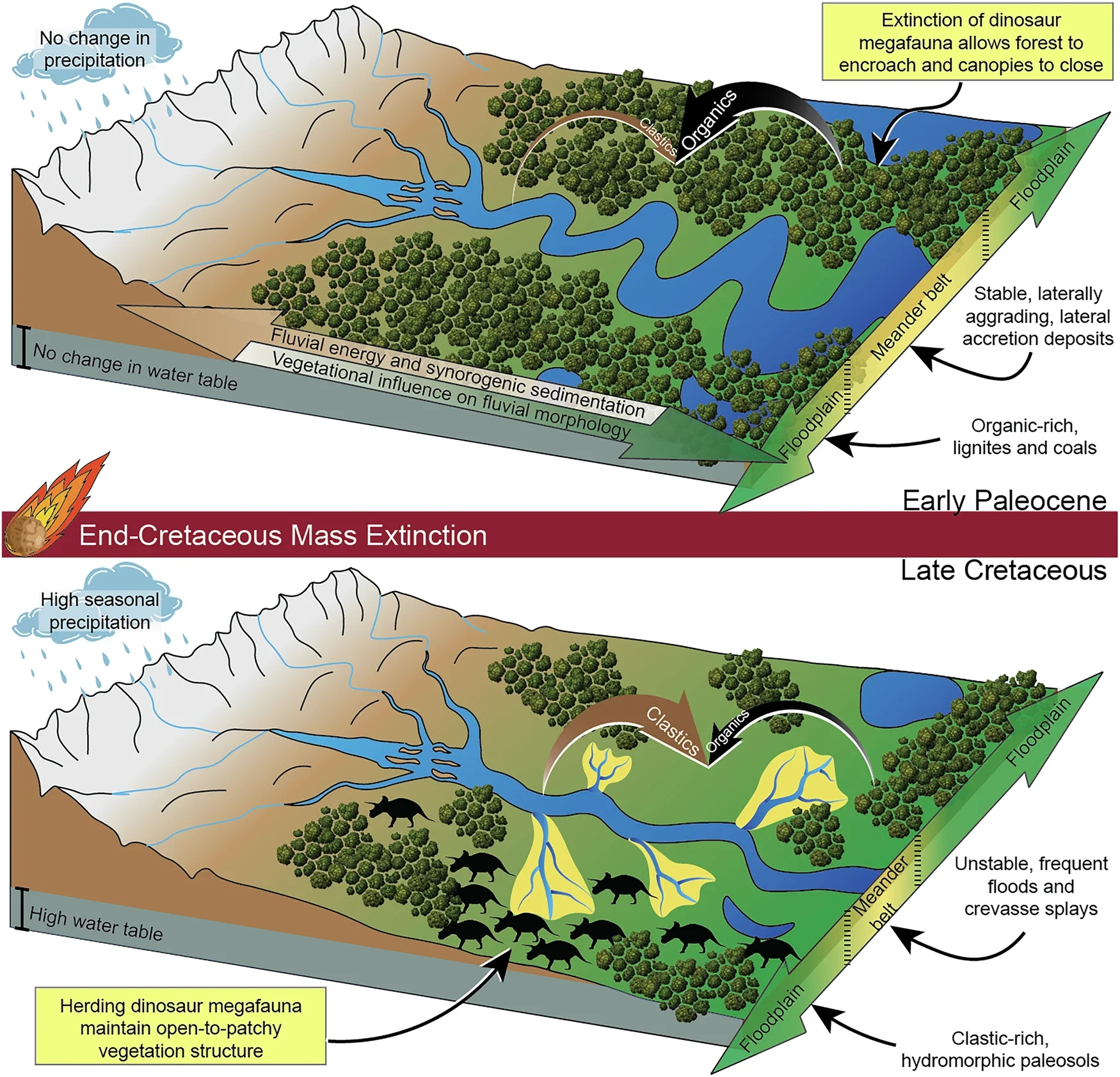 Ilustración conceptual de la hipótesis de los dinosaurios como ingenieros de ecosistemas: los grandes dinosaurios habrían favorecido paisajes abiertos, con ríos inestables que cambiaban de cauce y depositaban sedimentos en las llanuras.