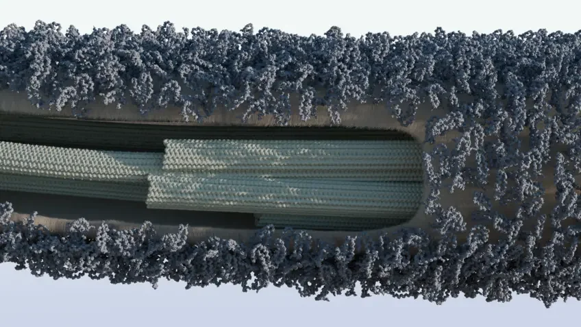 Reconstrucción 3D del glicocálix que recubre un cilio del alga verde Chlamydomonas reinhardtii. Esta densa capa de moléculas de azúcar ilustra la compleja arquitectura del glicocálix.