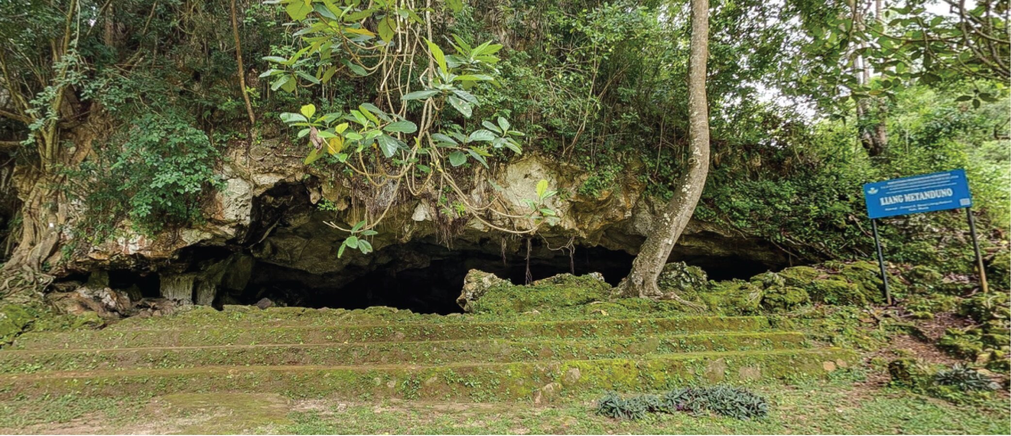 Entrada de la cueva Liang Metanduno, en la isla de Muna, en Sulawesi (Indonesia), donde se ha hallado el dibujo de la mano. El enclave forma parte de una región clave para comprender las primeras migraciones humanas hacia Australia.