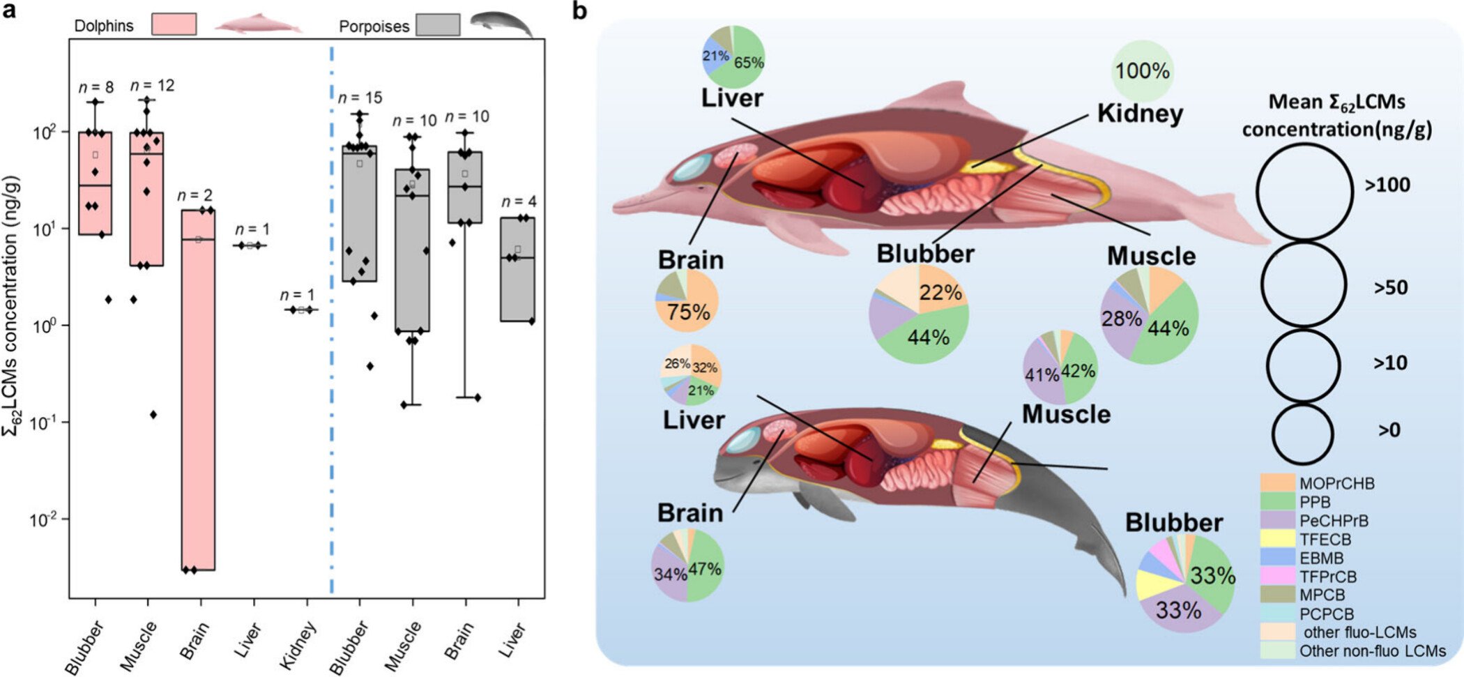 Distribución de los químicos de pantallas LCD (monómeros de cristal líquido) en distintos órganos de delfines y marsopas del mar de China Meridional: el gráfico muestra que estos compuestos se concentran sobre todo en la grasa