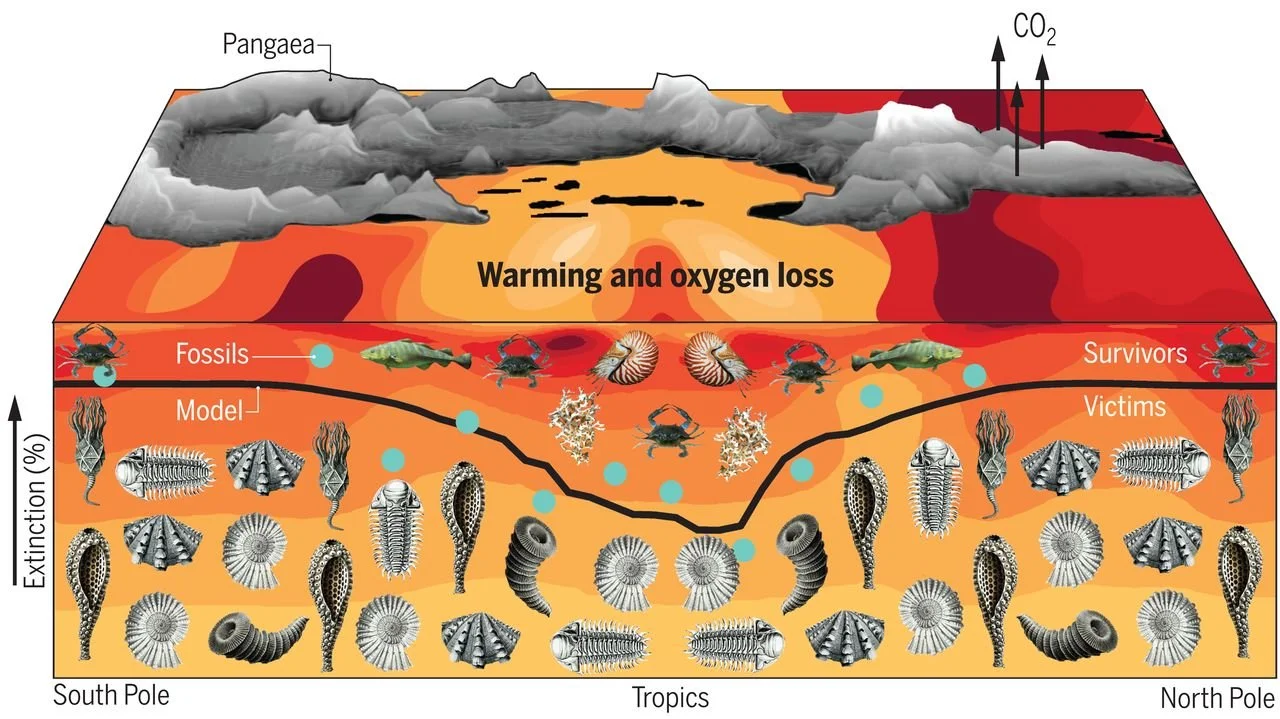 Reconstrucción del mecanismo que desencadenó la Gran Mortandad hace 252 millones de años. El aumento de los gases de efecto invernadero calentó los océanos y redujo su concentración de oxígeno.