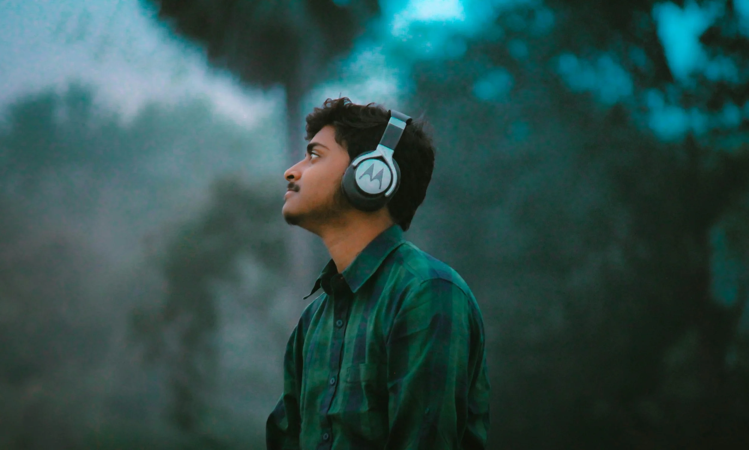 Las composiciones instrumentales y acústicas fueron elegidas con mayor frecuencia para procesar sentimientos difíciles, encontrar consuelo o vivir experiencias emocionales intensas.