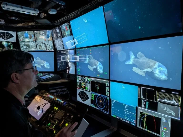 El científico Steven Haddock observa en los monitores el excepcional encuentro con un pez duende durante una expedición del MBARI a bordo del buque David Packard.