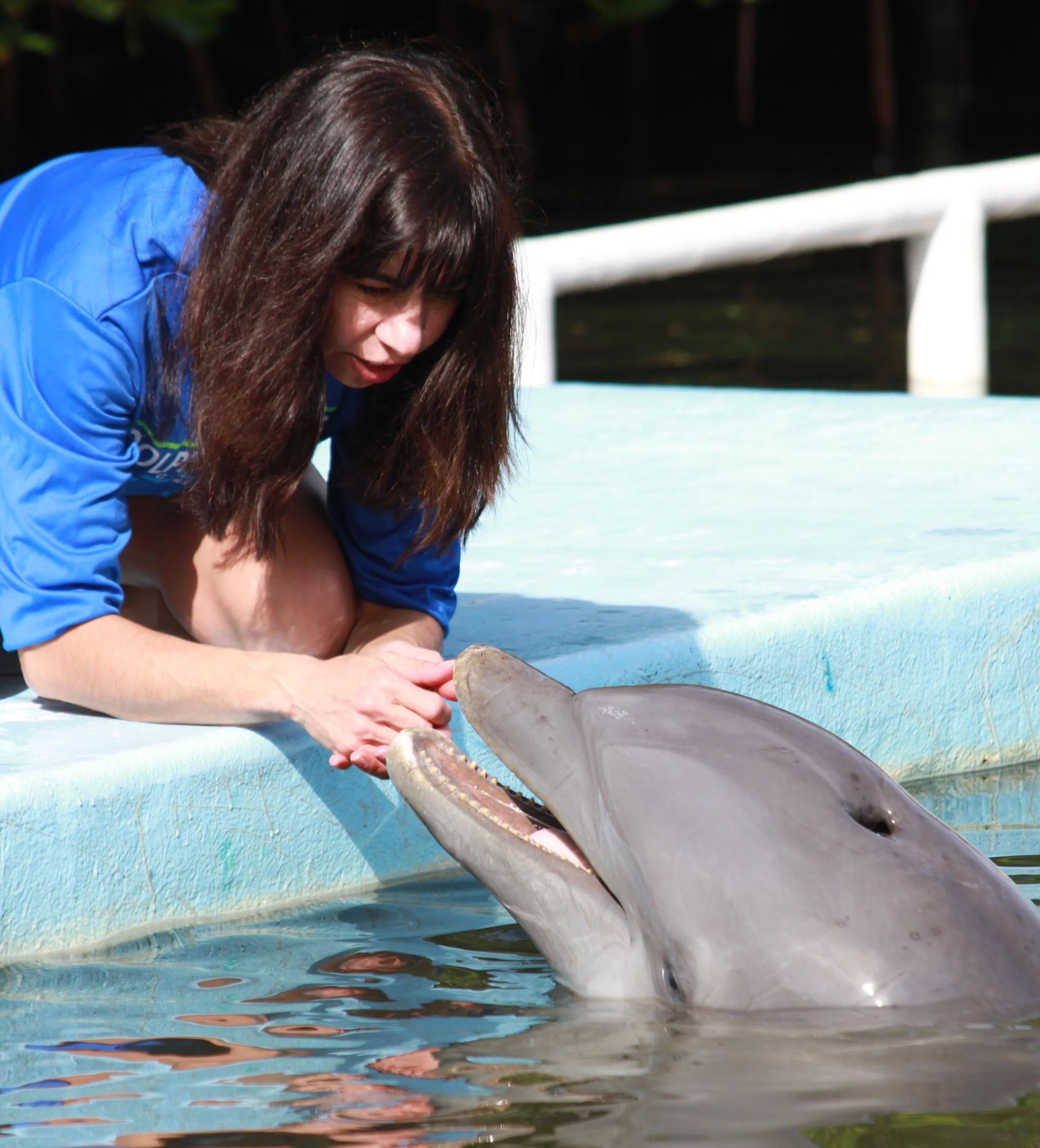 La psicóloga cognitiva Kelly Jaakkola, del Dolphin Research Center (Florida), interactúa con un delfín llamado Talon durante sus investigaciones sobre cognición y comunicación.