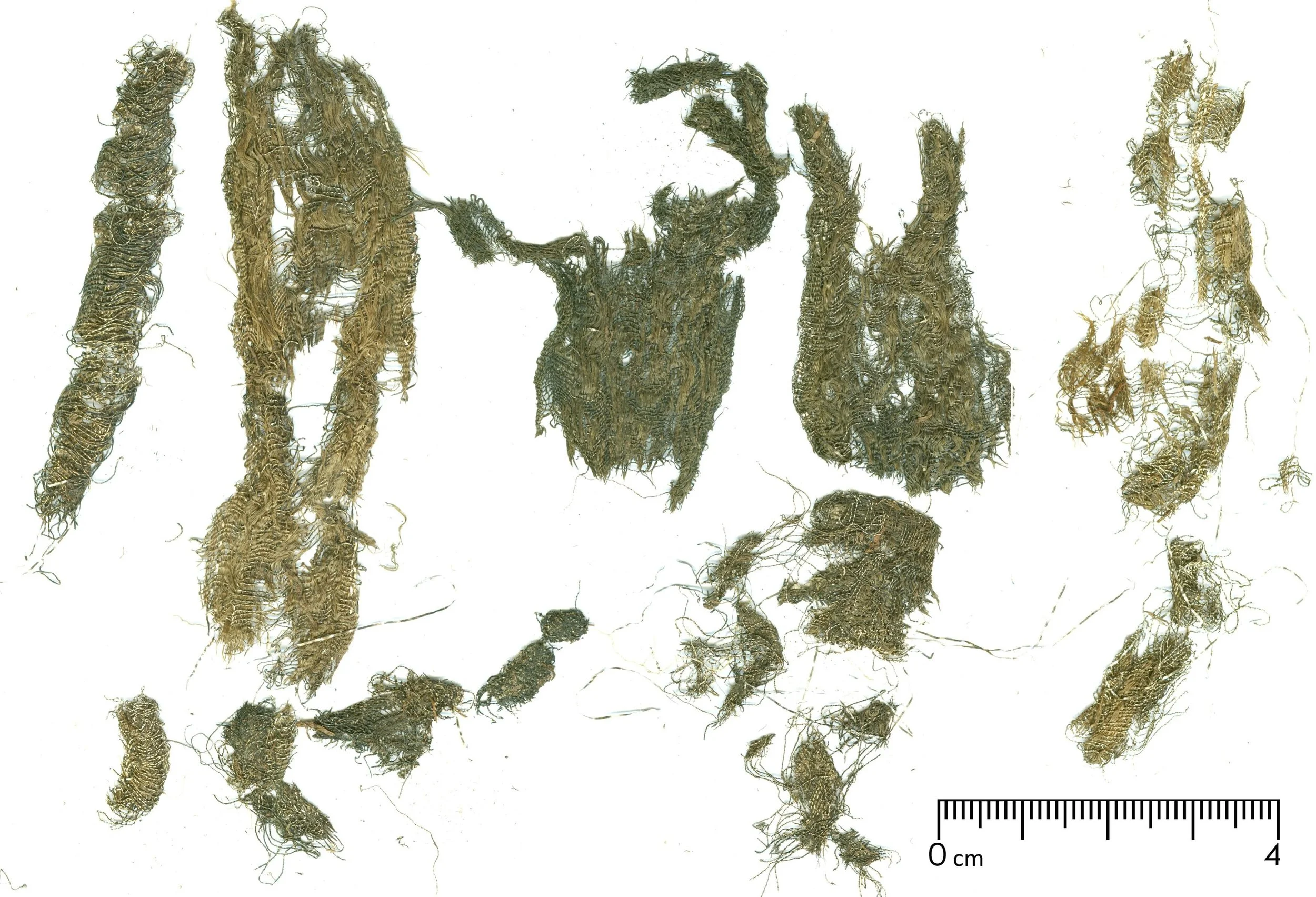 Fragmentos del galón ornamental hallado junto a la mandíbula de la joven de Pień.