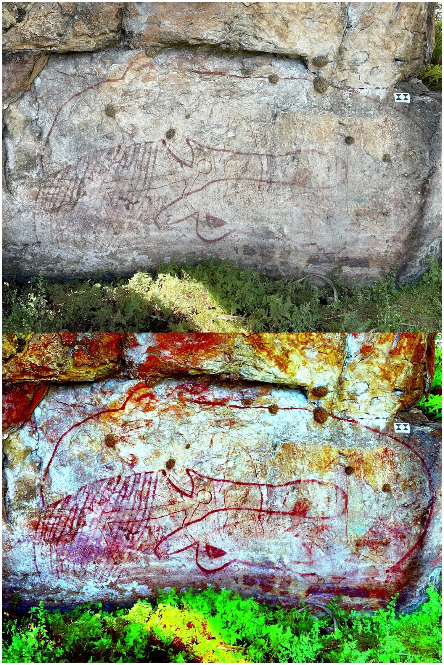 Pintura rupestre de una probable ballena jorobada con las barbas y un ojo visibles; abajo, la imagen realzada digitalmente con DStretch.