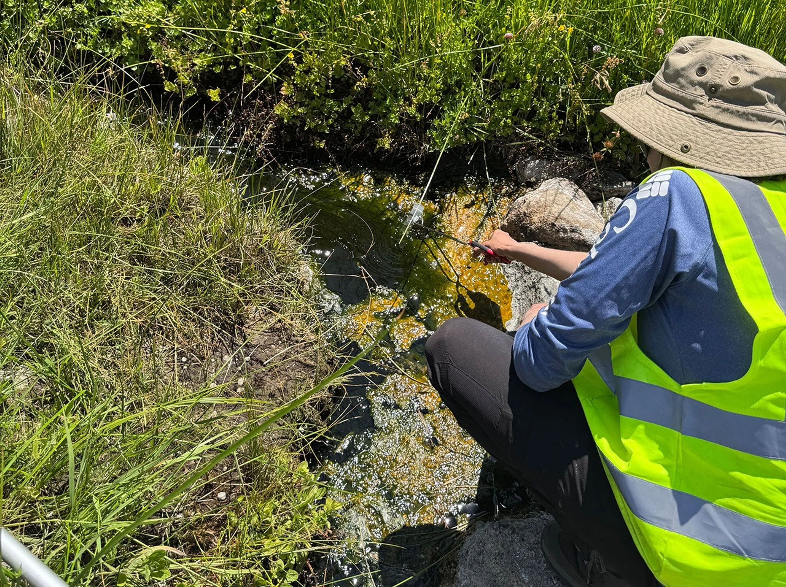 La investigadora H. Beryl Rappaport toma muestras en el arroyo termal del Parque Nacional Volcánico Lassen, en California, donde su equipo descubrió Incendiamoeba cascadensis.