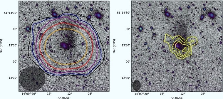 La galaxia ultradifusa UGC 9050-Dw1, observada en la banda g por el telescopio Canadá-Francia-Hawái, aparece rodeada por los contornos de emisión del hidrógeno neutro detectado mediante radiotelescopios.