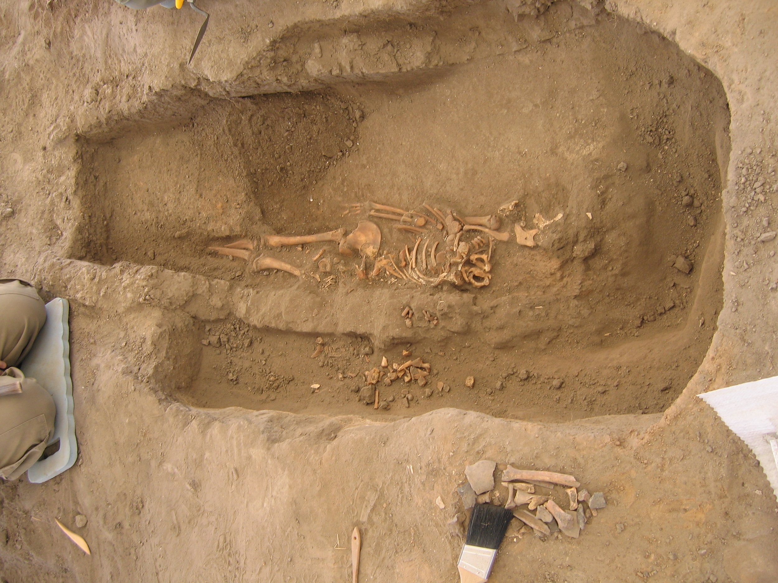 Excavación de un entierro intramuros bajo el suelo de una vivienda prehistórica en Çatalhöyük —un antiguo asentamiento de los períodos neolítico y calcolítico, en Turquía—, junto a un muro preexistente.