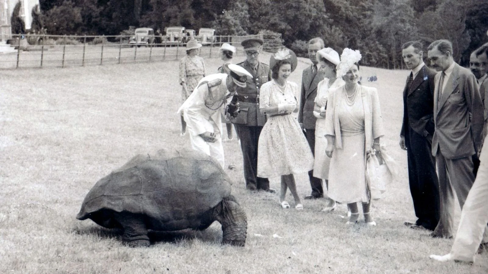 El rey Jorge VI y la reina Isabel, acompañados por sus hijas, las princesas Isabel —futura Isabel II— y Margarita, conocieron a Jonathan durante su visita a Santa Elena en 1947.