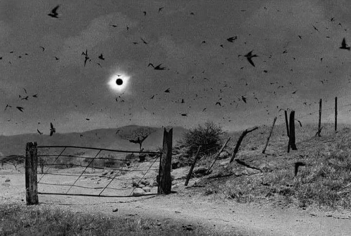 El eclipse total de Sol del 11 de julio de 1991, fotografiado por Antonio Turok en Chiapas (México). Con casi siete minutos de totalidad, fue uno de los eclipses más largos y espectaculares del siglo XX.