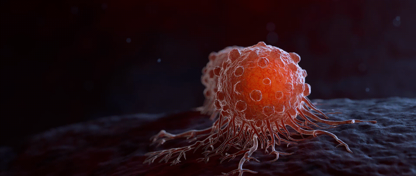 Las células cancerosas no solo acumulan mutaciones: recorren un mapa evolutivo marcado por ganancias y pérdidas de cromosomas que determinan qué células sobreviven. Un nuevo modelo permite seguir ese trayecto y anticipar sus próximos movimientos.