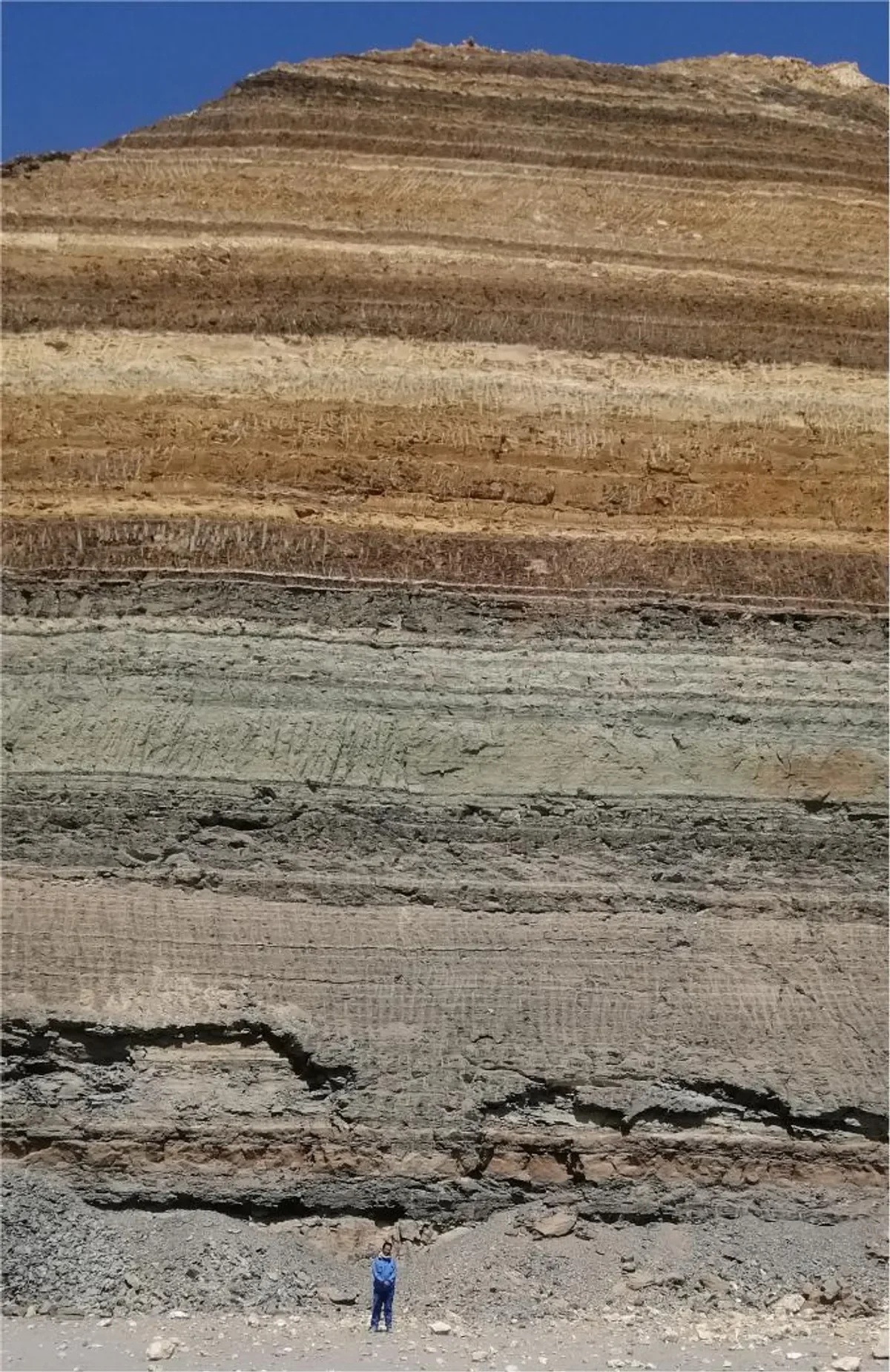 Estratos sedimentarios de la formación de Duwi, en Abu-Tartur, donde fueron descubiertos los dientes fósiles de tiburón.