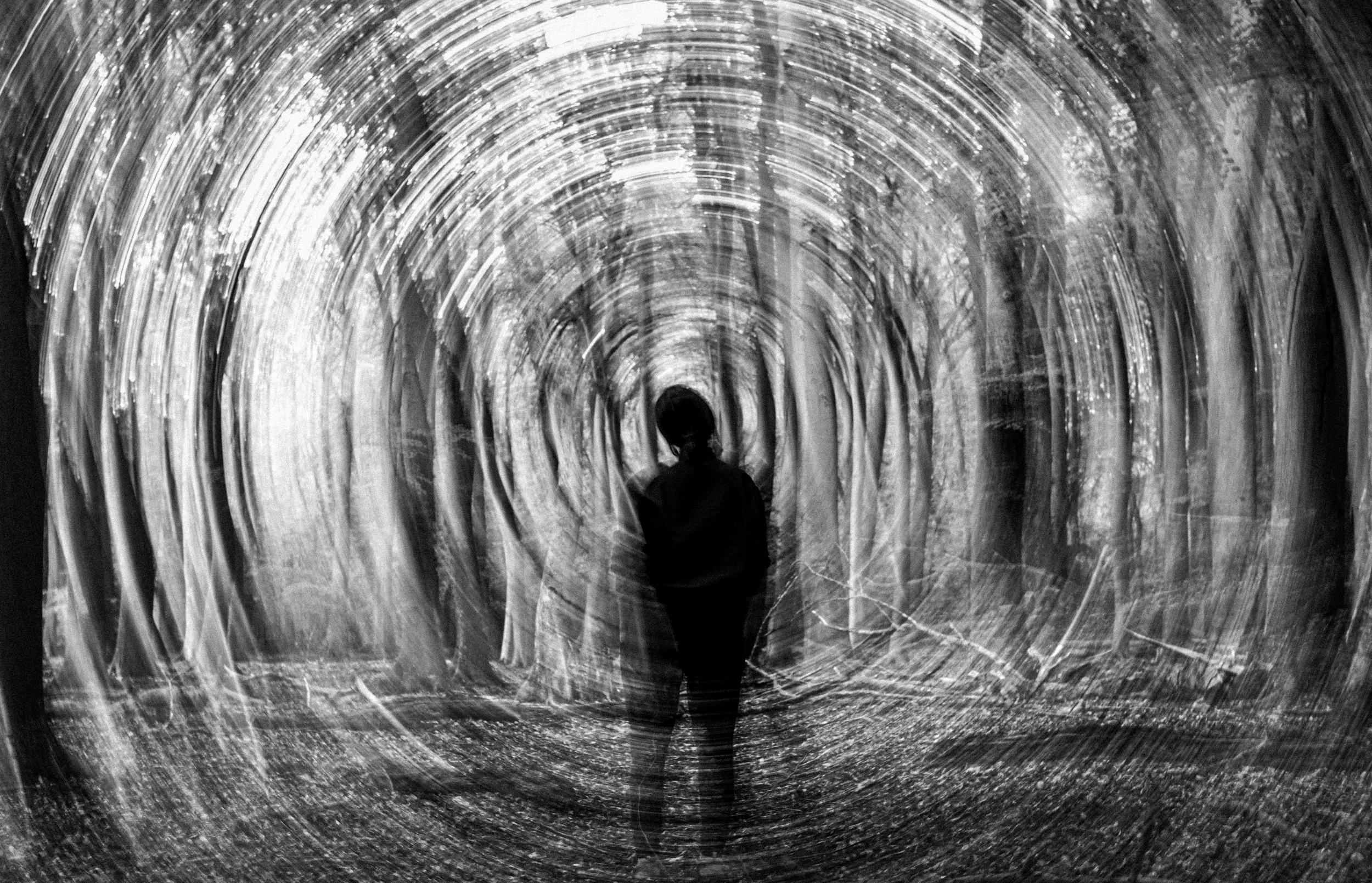 Nuestra percepción del mundo es solo una parte de lo que procesa el cerebro.
