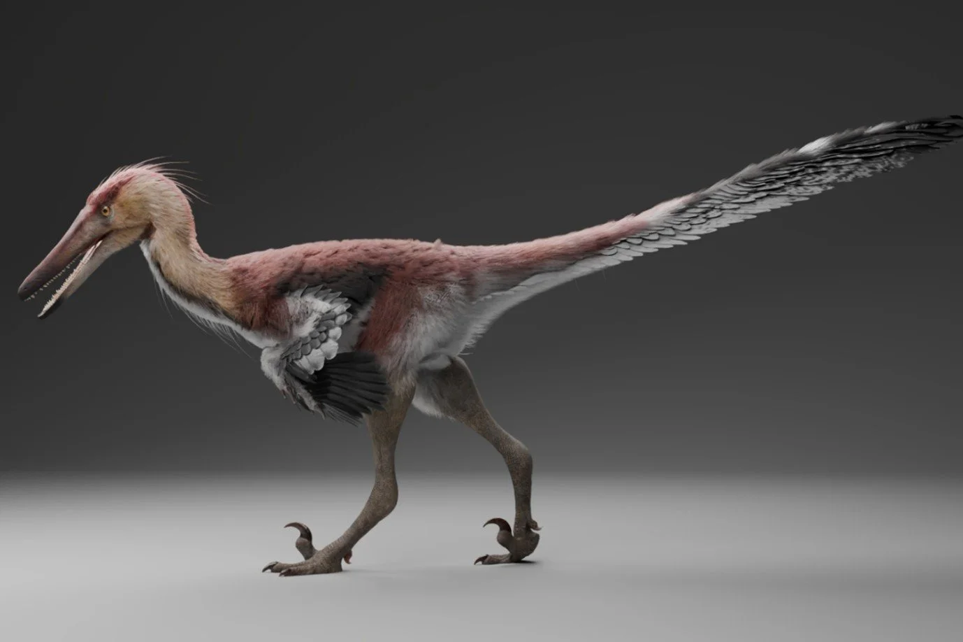Reconstrucción de Kank australis, un dinosaurio terópodo de unos tres metros de longitud que habitó los humedales de la Patagonia hace 70 millones de años