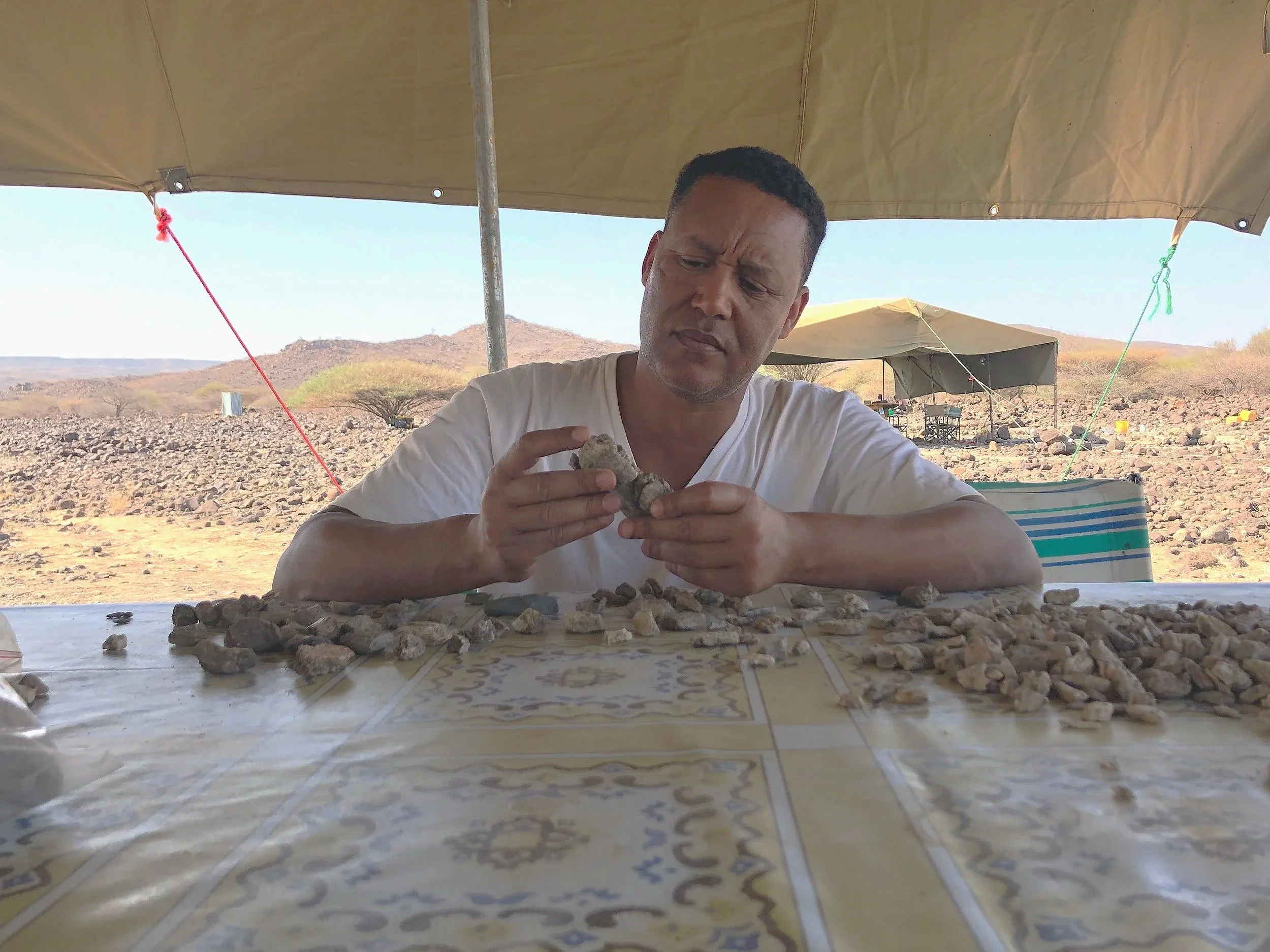 El paleoantropólogo Zeresenay Alemseged examina fragmentos fósiles aún sin identificar durante el trabajo de campo en Afar, Etiopía, en busca de restos pertenecientes a un ejemplar de Paranthropus.