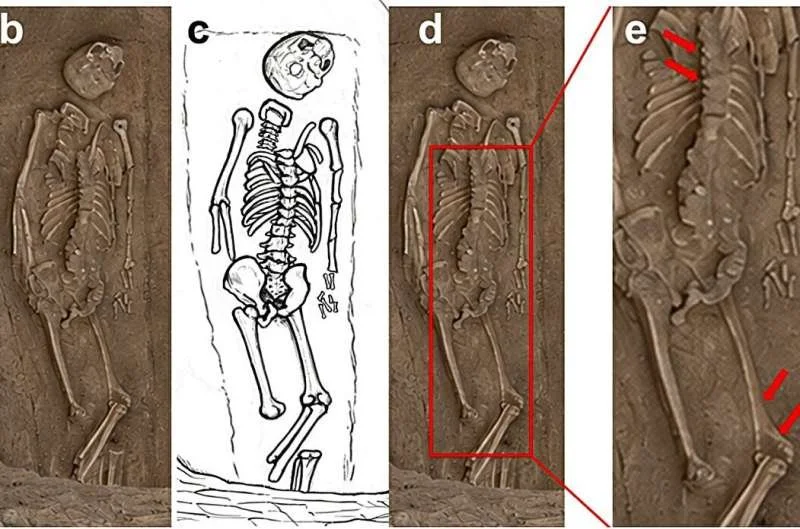 La tumba y el esqueleto M318, hallados en el yacimiento de Sanzhiyuan. La posición de la columna vertebral y la pelvis indica que la mujer fue enterrada boca abajo.