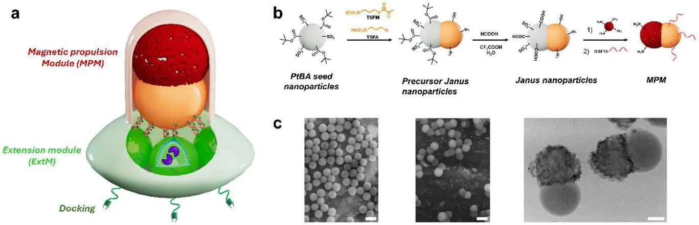 Esquema del nanorrobot modular desarrollado por los investigadores.