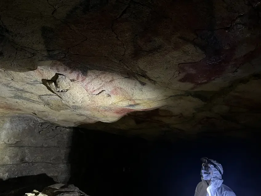 Vista del techo policromado de la cueva de Altamira, una de las mayores obras maestras del arte paleolítico.