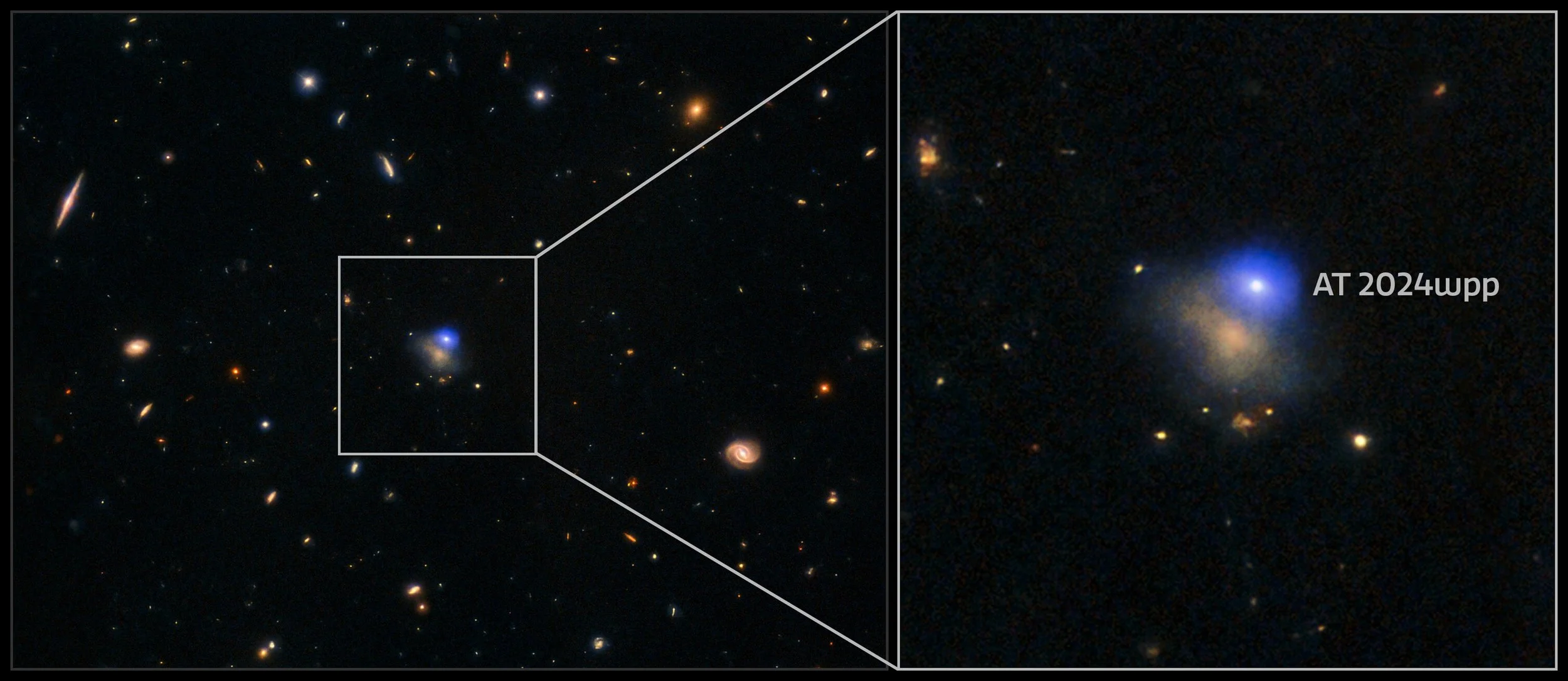 Imagen compuesta de AT 2024wpp en múltiples longitudes de onda. El punto brillante en el borde superior derecho de su galaxia anfitriona, situada a 1.100 millones de años luz, corresponde al LFBOT más luminoso conocido