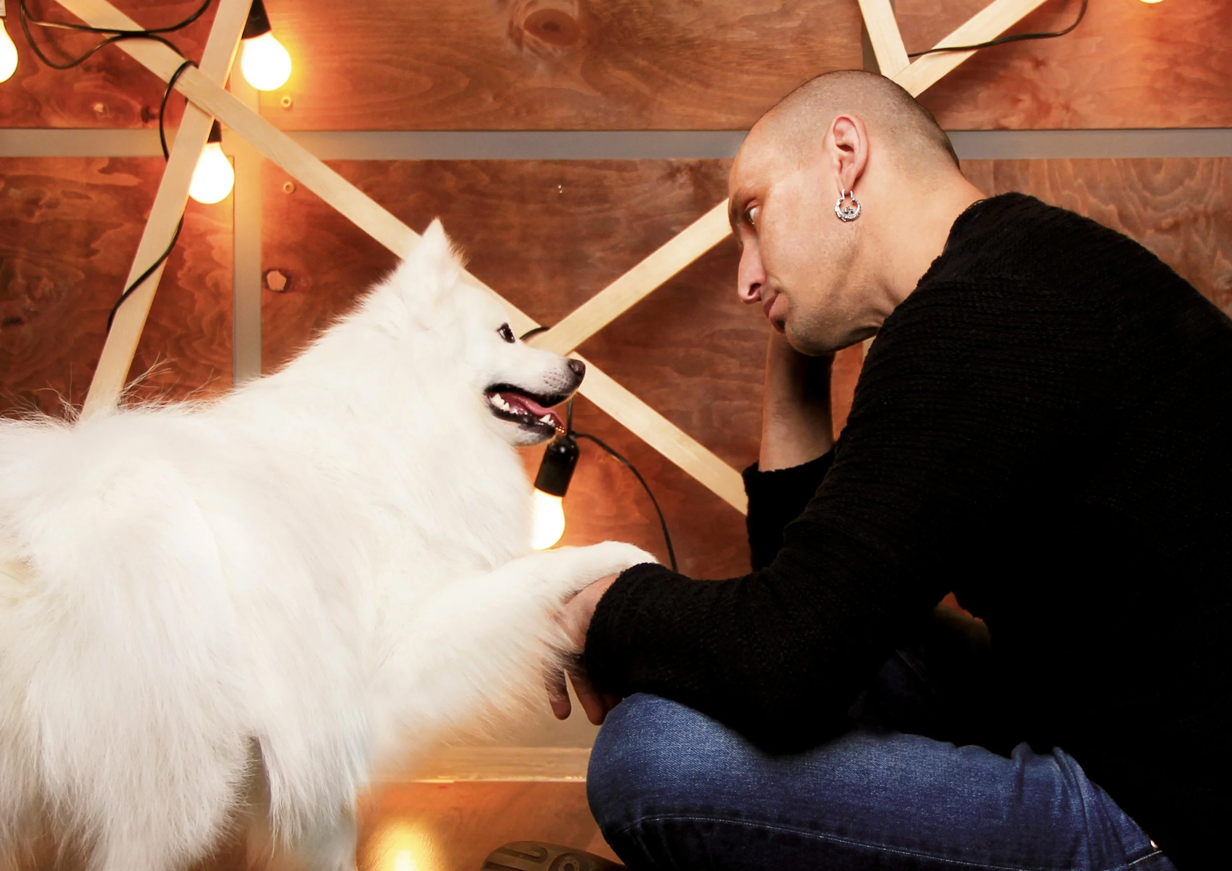 Los científicos no encontraron diferencias significativas entre perros y gatos en cuanto a los beneficios emocionales generales: ambas especies parecen aportar compañía, afecto y una mejora del bienestar cotidiano.