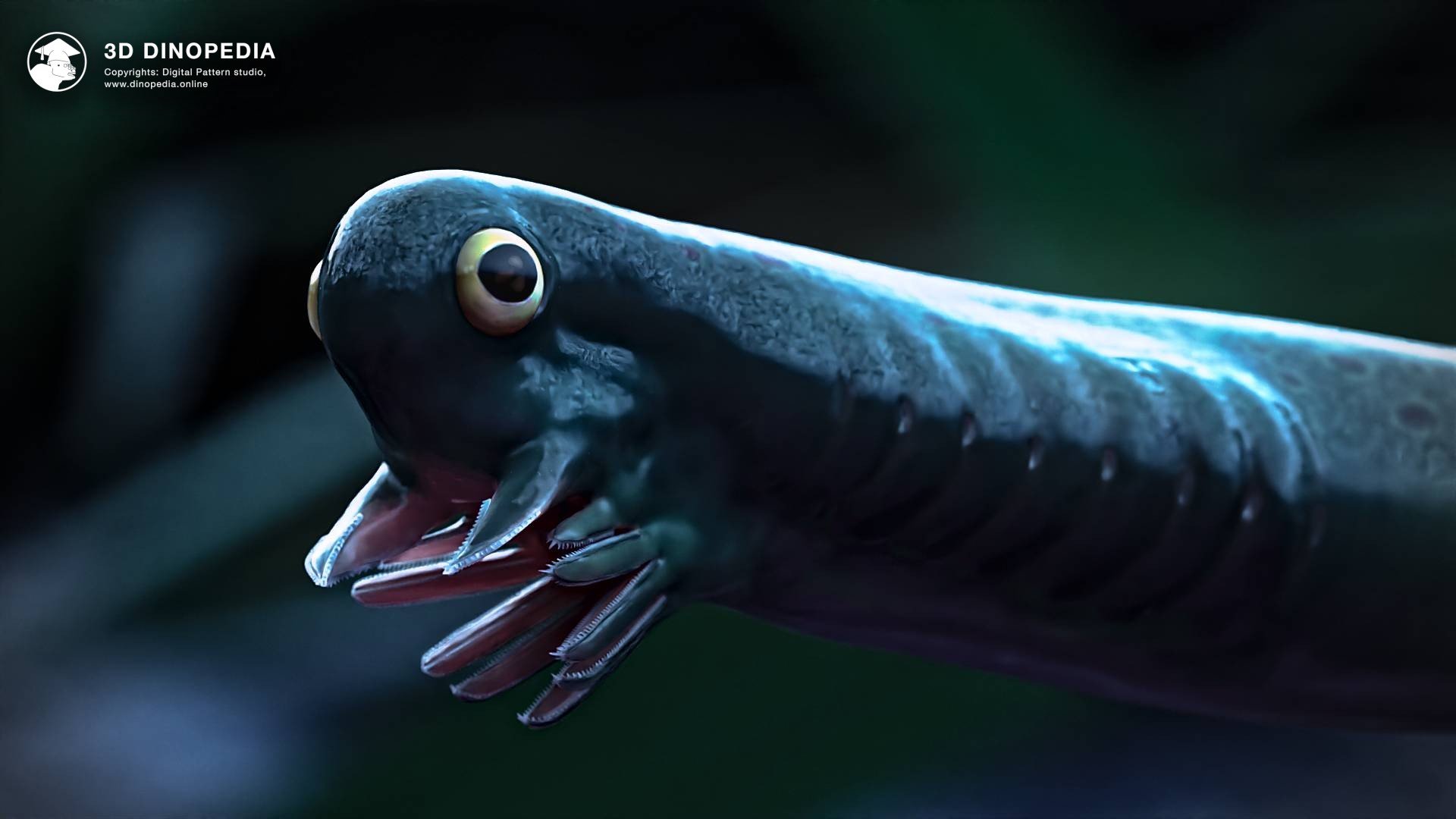 Un conodonto Promissum, de entre 5 y 50 centímetros de longitud, conocido por sus característicos dientes cónicos y considerado un posible antepasado de las actuales lampreas y mixinos.