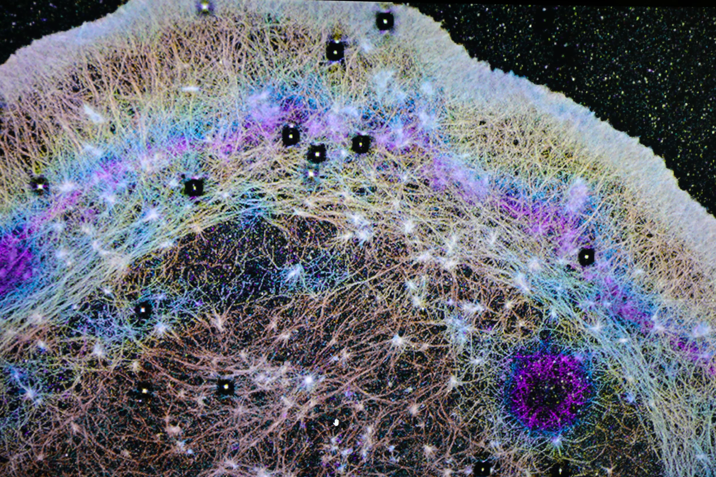 Imagen de superresolución 3D (iPALM) que muestra moléculas individuales de actina dentro de una célula, representadas como puntos y captadas con un nivel de detalle unas 10.000 veces más fino que el grosor de un cabello humano