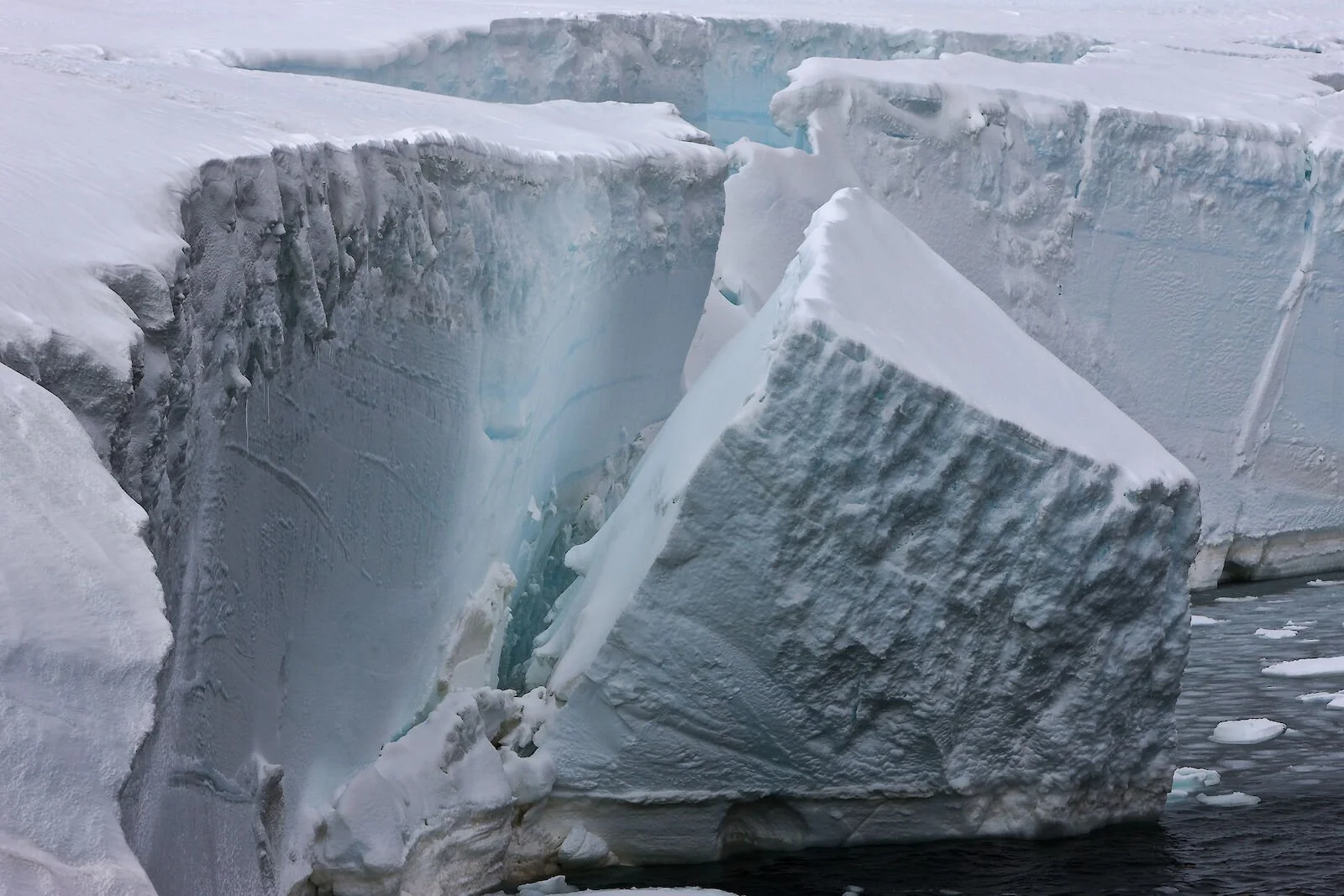 Un enorme bloque de hielo se desprende de un acantilado glaciar en la Antártida. La pérdida de hielo de las regiones polares contribuyó a elevar 3,14 centímetros el nivel medio global del mar entre 1979 y 2023, según el nuevo estudio.