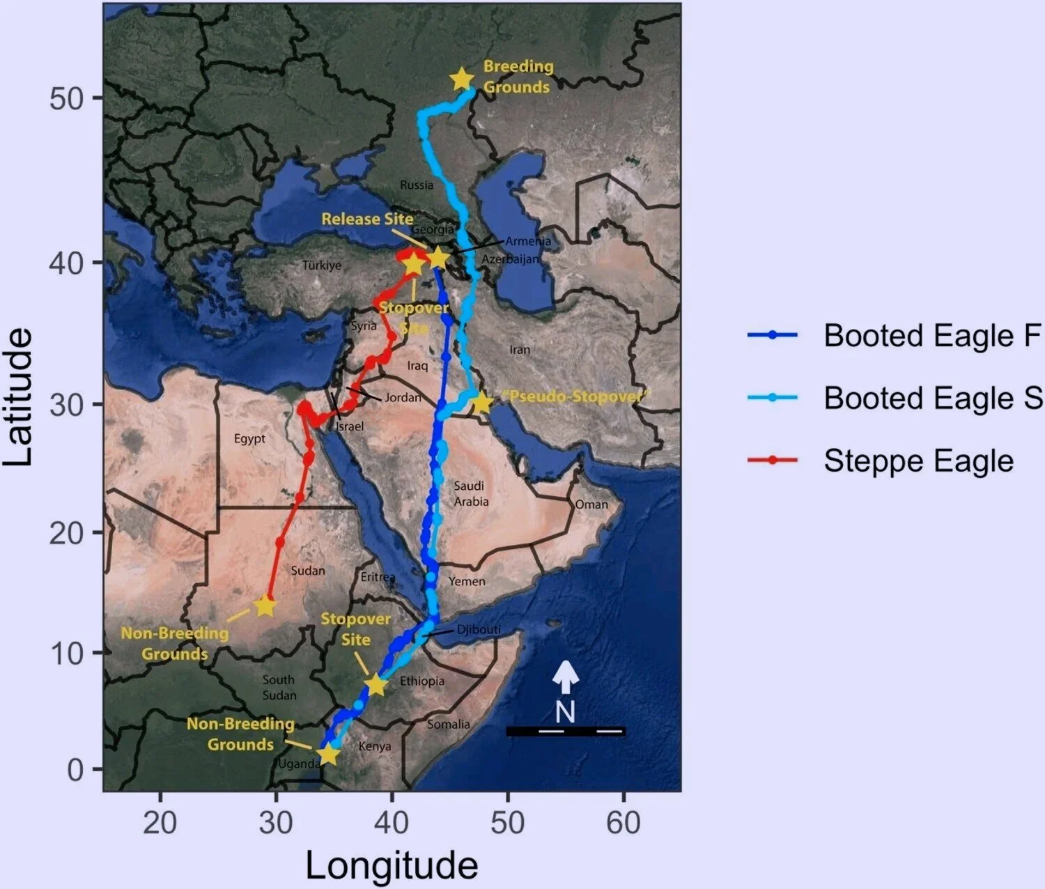 Rutas migratorias de las dos águilas seguidas por satélite: en azul, el viaje otoñal del águila calzada; en celeste, su regreso primaveral, y en rojo, el recorrido otoñal del águila esteparia.