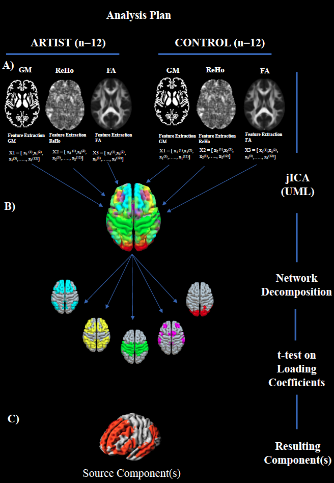 Los investigadores combinaron tres tipos de imágenes cerebrales —materia gris, actividad funcional en reposo y materia blanca— mediante un algoritmo de inteligencia artificial (jICA), lo que permitió identificar una firma cerebral de los artistas.