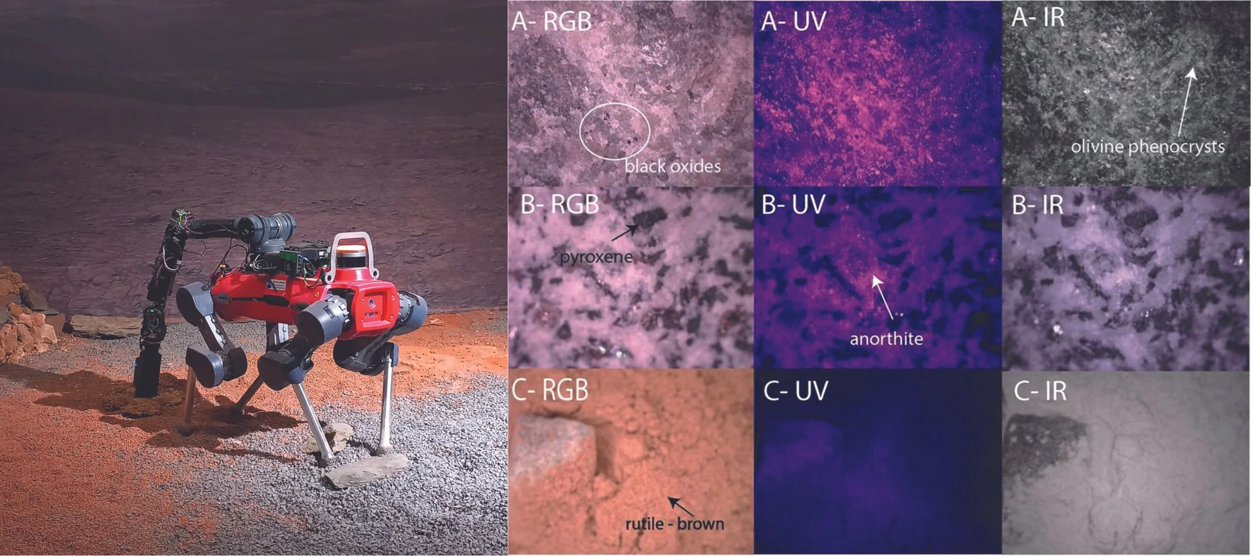 A la izquierda, el robot cuadrúpedo realiza mediciones autónomas de una roca utilizando un microscopio multiespectral (MICRO) y un espectrómetro Raman; a la derecha, ejemplos de imágenes obtenidas por MICRO.