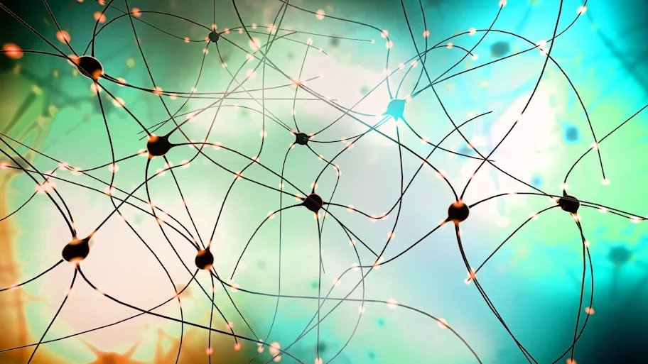 Ilustración tridimensional de una red de neuronas que transmiten señales a través de sus conexiones sinápticas. Esta actividad eléctrica es la que permite a los organoides cerebrales procesar los estímulos recibidos.