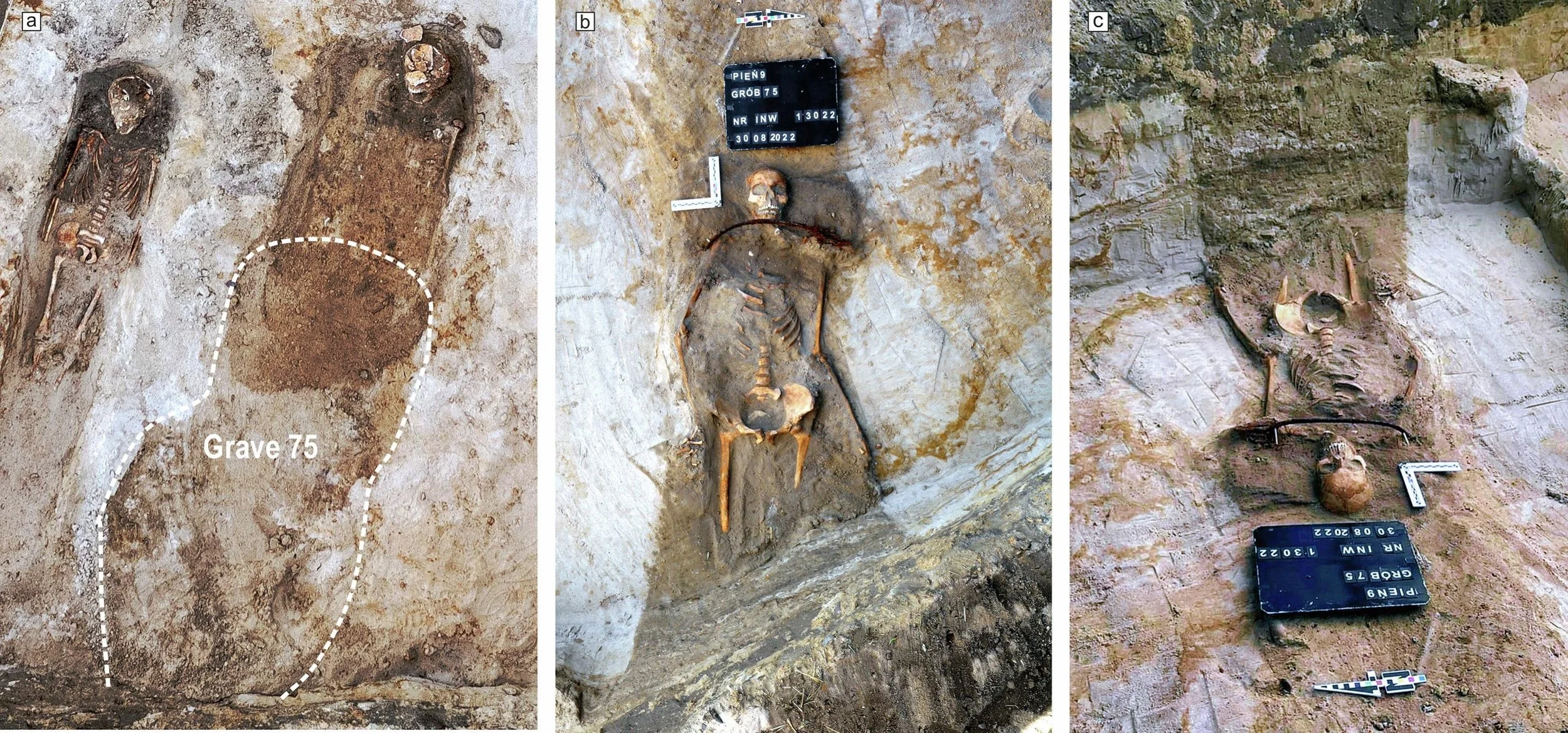 Las imágenes muestran el contorno superior de la fosa y el enterramiento parcialmente descubierto, con la gran hoz colocada sobre el cuello de la joven y las alteraciones del terreno que sugieren una posible reapertura de la sepultura.