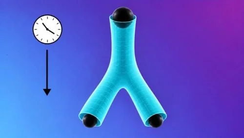 Representación de un agujero negro que se divide en dos, dando lugar a una estructura con forma de pantalón. Esta geometría, denominada «topología de pantalón», ilustra la fragmentación teórica de un agujero negro.