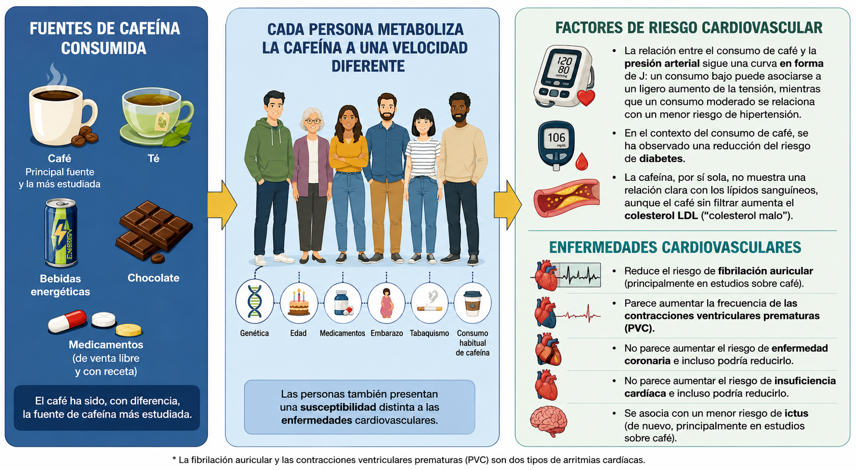Relaciones entre la cafeína, los factores de riesgo cardiovascular y las enfermedades cardiovasculares.