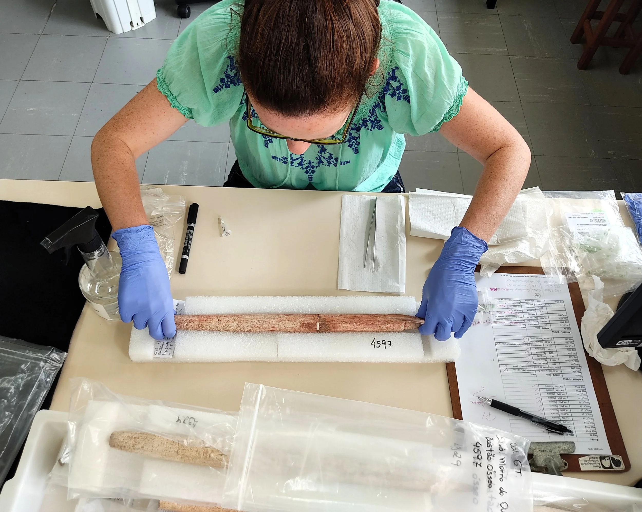 Krista McGrath, autora principal del estudio, analiza uno de los arpones.