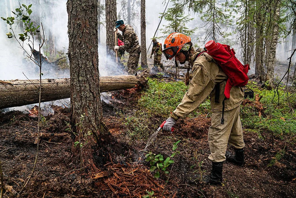 Voluntarios de Greenpeace combaten un incendio forestal en la reserva natural de Denezhkin Kamen, junto a los montes Urales.