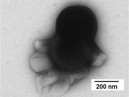 Imagen obtenida mediante microscopía electrónica de transmisión (TEM) de uno de los nanorrobots modulares desarrollados en el estudio.