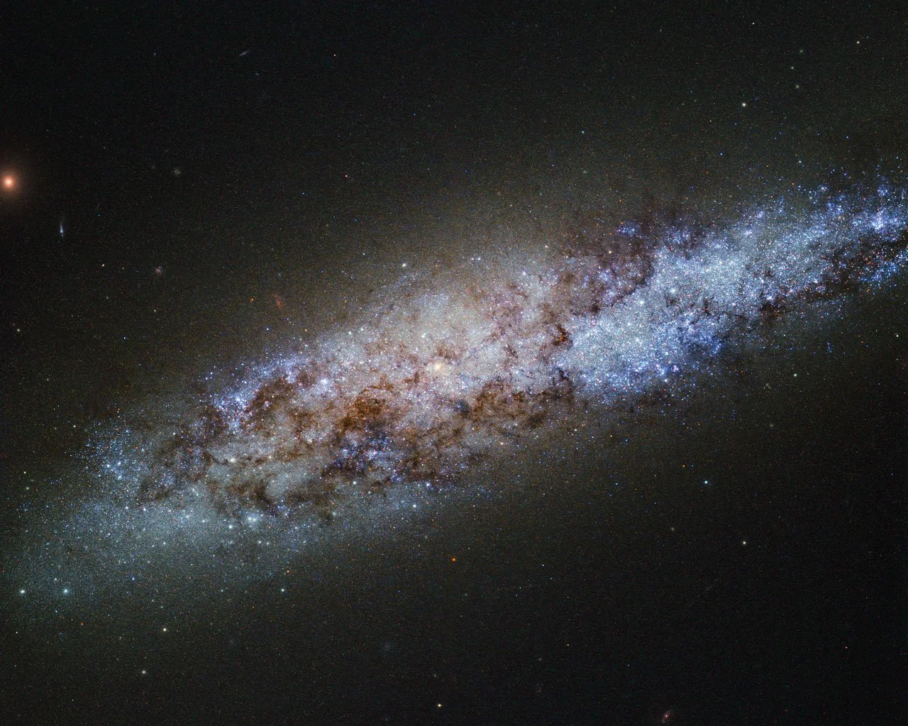 La gravedad habría actuado durante miles de millones de años como el gran arquitecto del cosmos, permitiendo que del aparente desorden inicial surgieran galaxias como esta galaxia, conocida como NGC 4605.
