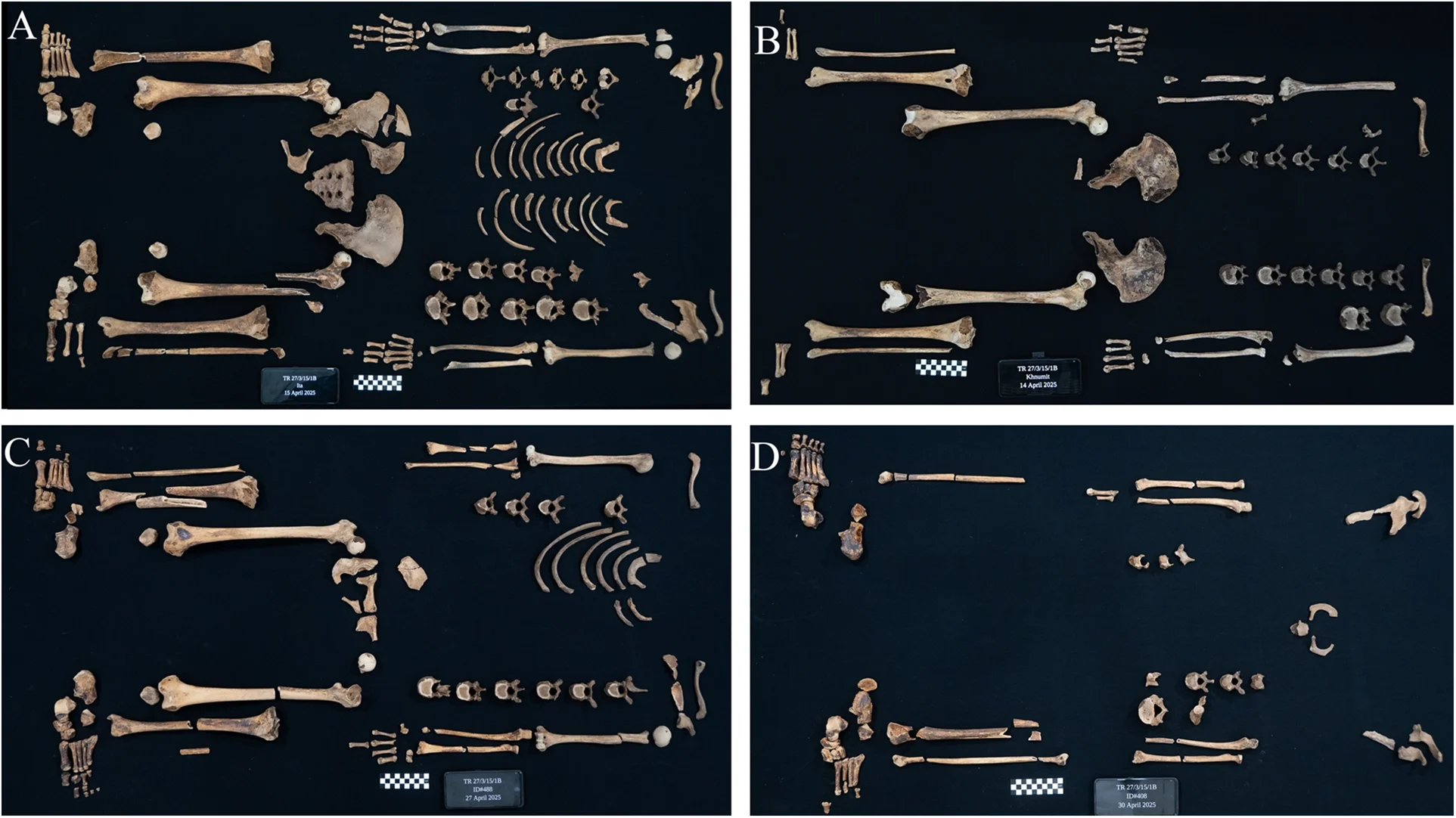 Disposición de los esqueletos de cuatro mujeres de la realeza halladas en la necrópolis de Dahshur: las princesas Ita (A), Khenmet (B) y Itaweret (C), y un cuarto individuo identificado provisionalmente como Sathathormeryt (D).
