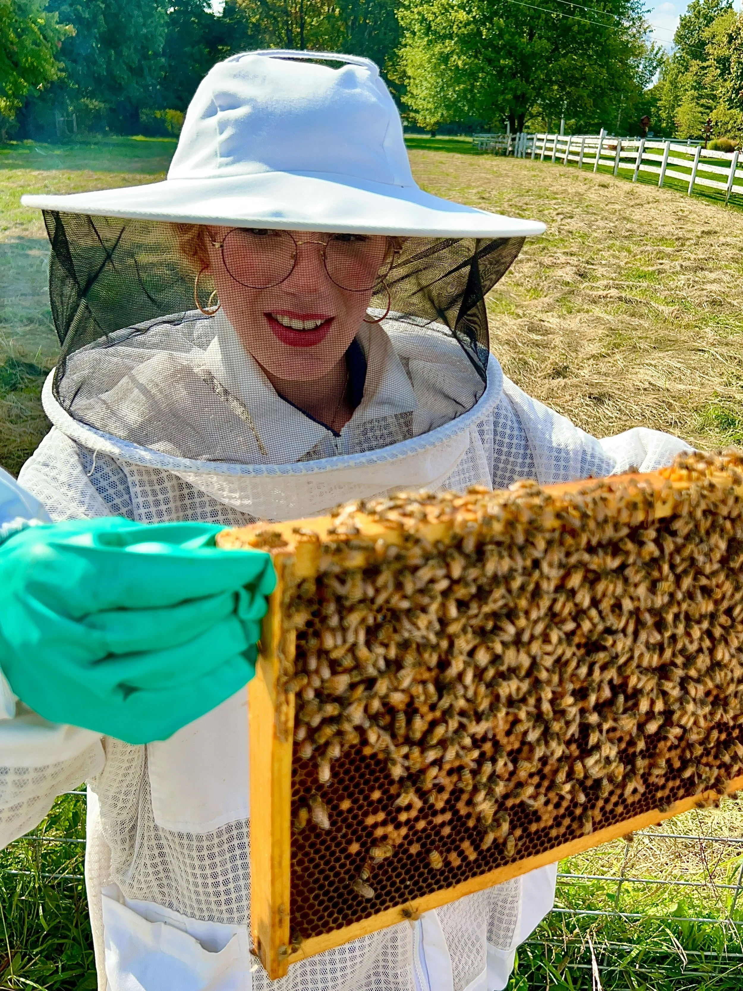 Las abejas obreras constituyen la primera línea de defensa frente a los pesticidas al filtrar parte de los contaminantes antes de que lleguen a la reina. Sin embargo, esa protección puede saturarse tras una exposición prolongada.
