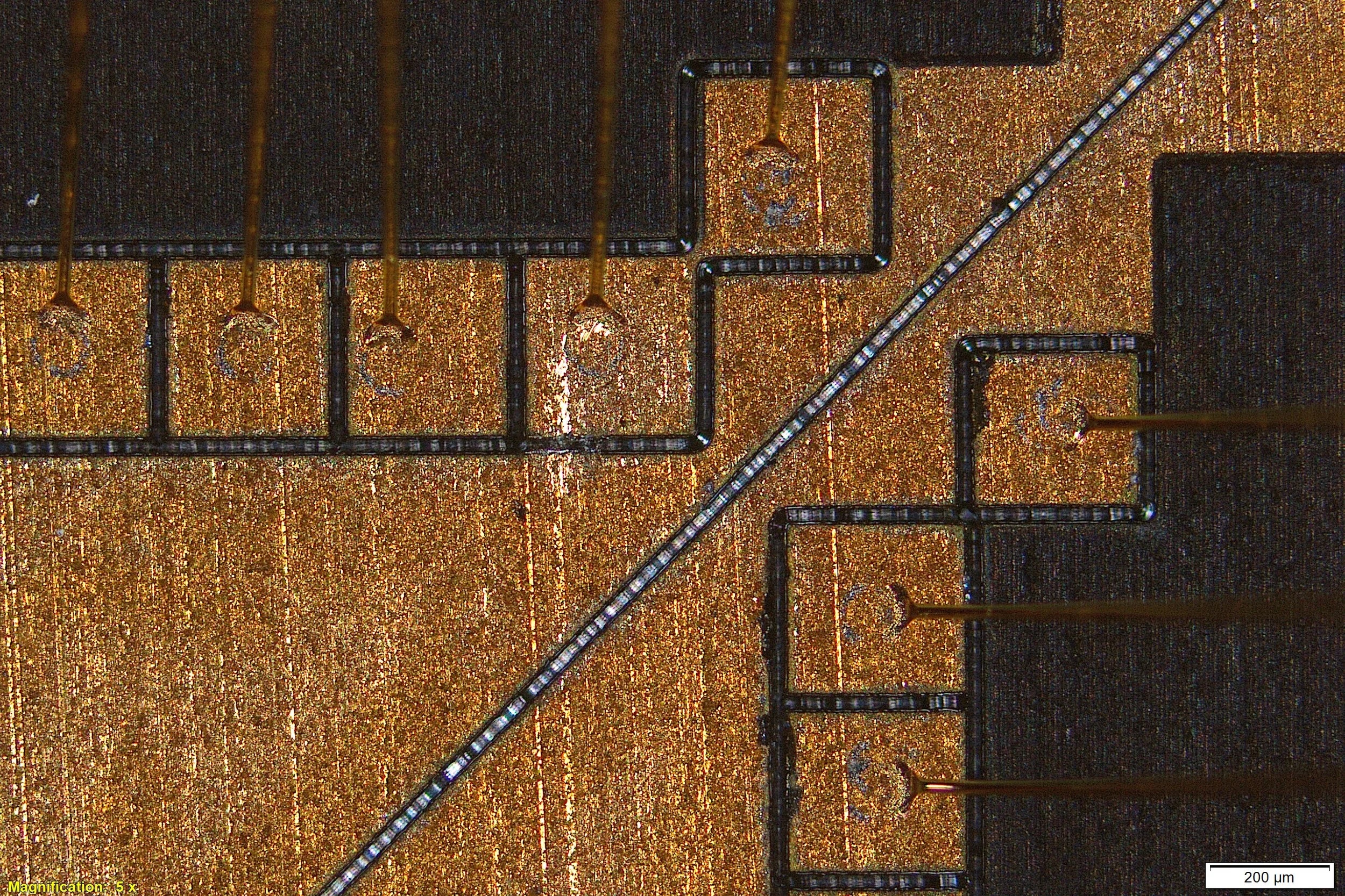 Detalle microscópico del chip del nuevo ecógrafo portátil, donde se aprecia la disposición de los microtransductores ultrasónicos y sus conexiones eléctricas.